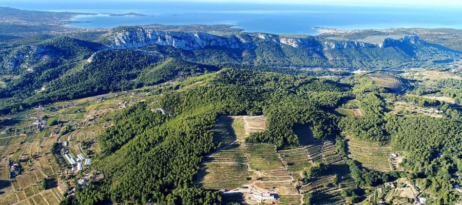 Bandol
