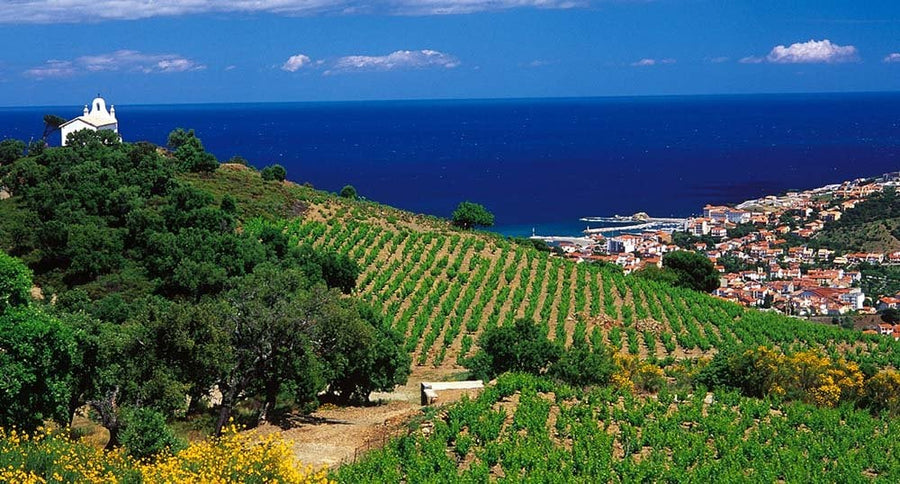 Banyuls
