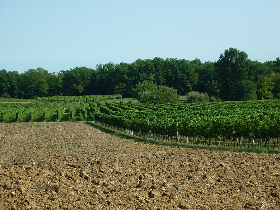 Bergerac