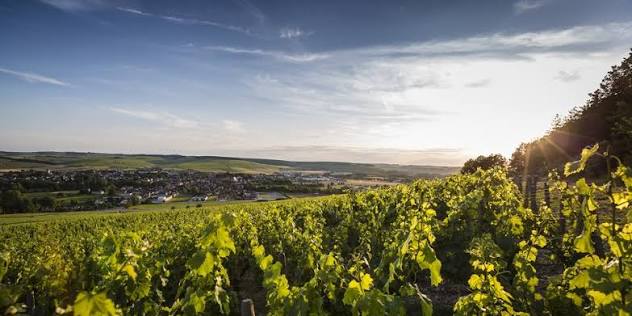 Chablis