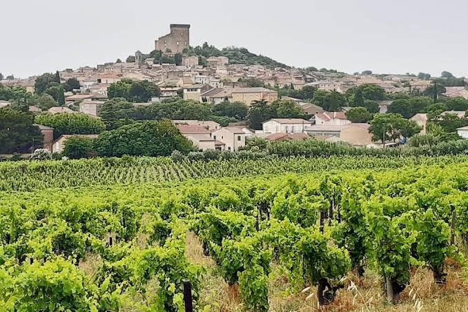 Châteauneuf-du-Pape