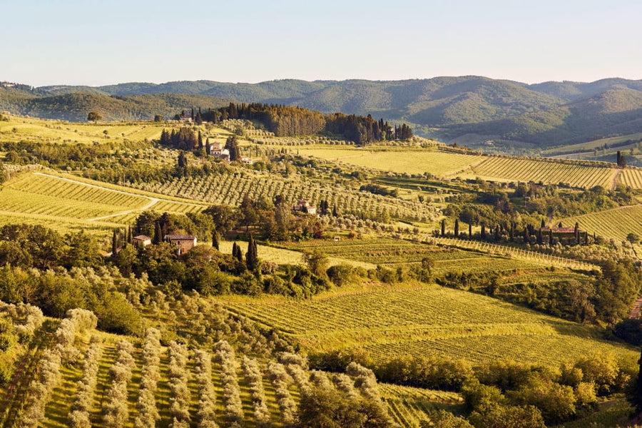 Chianti Classico