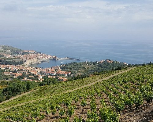 Collioure