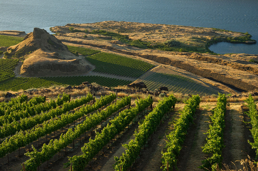 Columbia Valley