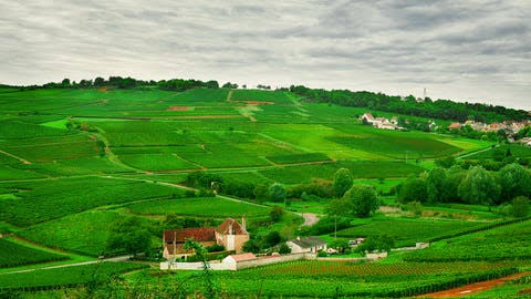 Côte Chalonnaise