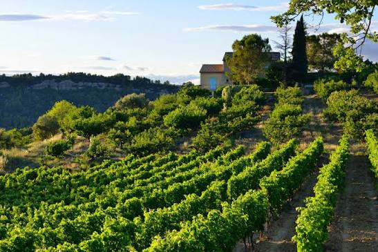 Coteaux d'Aix-en-Provence