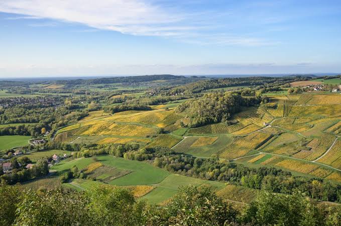 Côtes du Jura