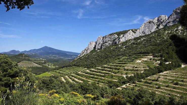 Côtes du Rhône
