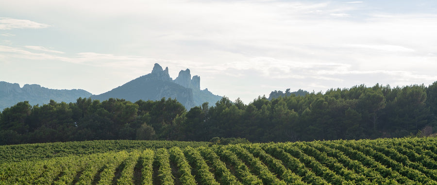 Gigondas