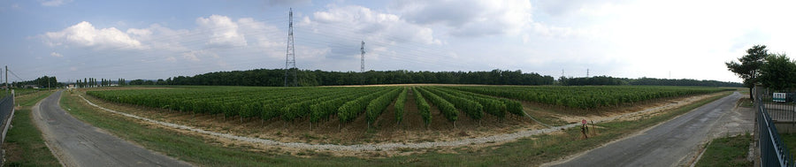 Graves