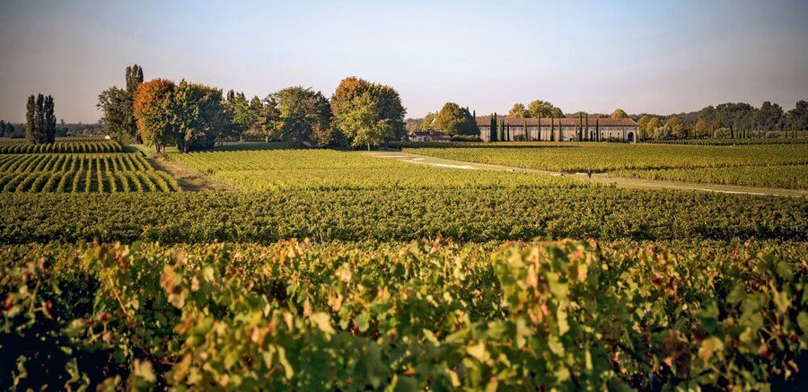 Haut-Médoc