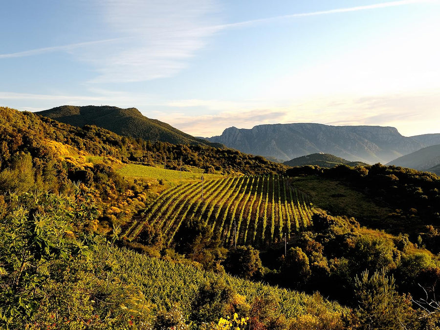 Languedoc AOC
