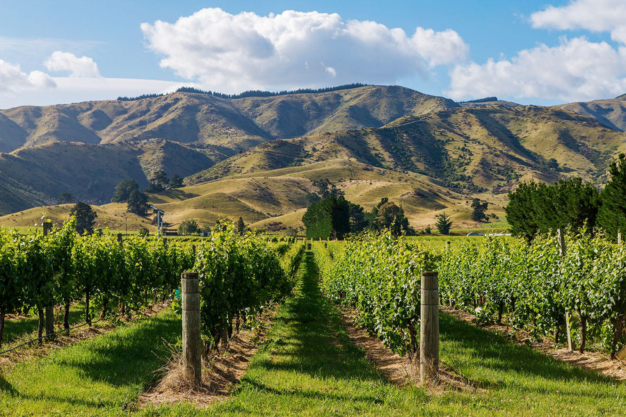 Marlborough