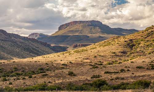 Nuveld-Karoo