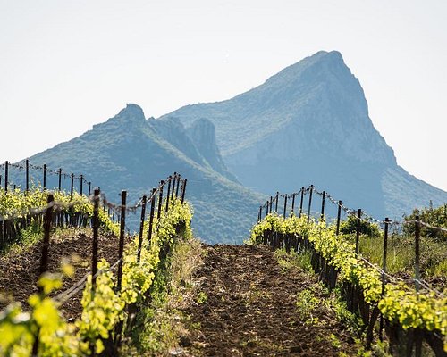 Pic Saint-Loup