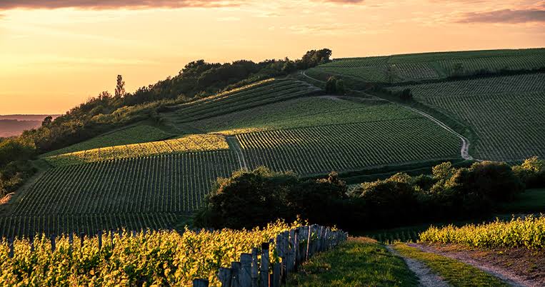 Pouilly-Fumé