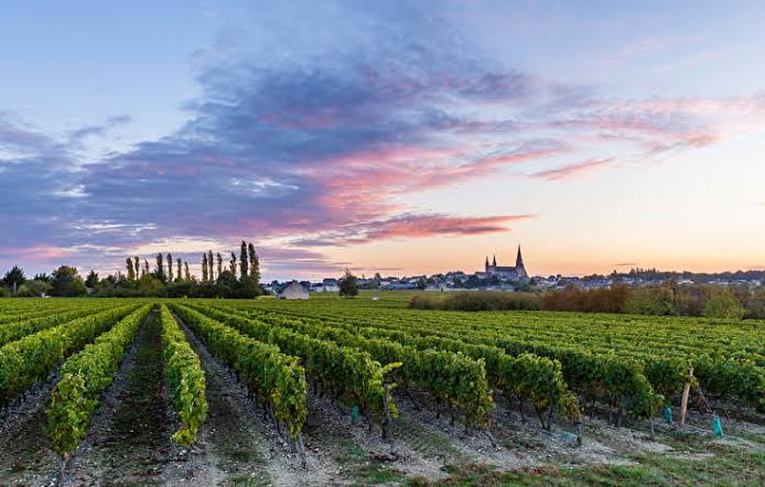 Saumur