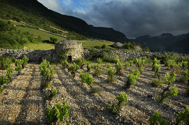 Terrasses du Larzac