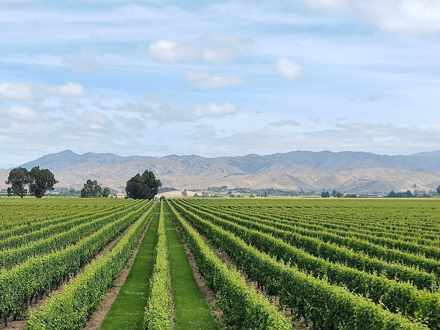Wairau Valley
