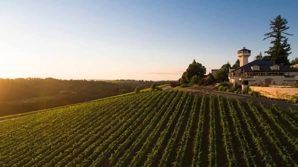 Willamette Valley